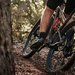 Giant Bicycles - Comercializare si service biciclete
